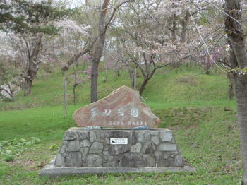美唄 東明公園 北海道 桜の名所 北海道 旅ログ